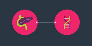 One of those nightmare cancers that tend to progress insidiously and unrecognisably until finally detected at a late and incurable stage. Why Every Pancreatic Cancer Patient Should Consider Genetic Testing Genetic Risk University Of Michigan Rogel Cancer Center