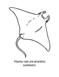 Fish and coral fill up the sea around this manta ray, making for an exciting scene for your child to color! Graceful Manta Ray Coloring Pages Coloring Sun