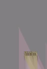 The Chanticleer [serial]