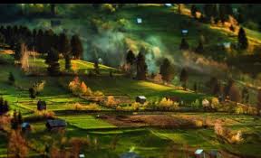 Iar comunele cele mai intinse sunt situate in delta sau in zonele montane (logic, zone slab populate). De Necrezut OraÈ™ele Din Romania Care Vor SÄƒ DevinÄƒ Comune Din Cauza SÄƒrÄƒciei Sunt Cele Mai SÄƒrace Regiuni Din Ue Capital