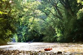Buses and tourist vans run from various. Kuala Lumpur Taman Negara Perhentian Island