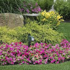 Havahart 5266 Spray Away Motion Detector Sprinkler Animal Repellent Play It Koi