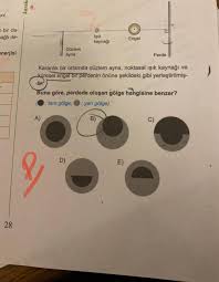 Gölge Soruları ve Cevapları, Soru Çözümü, Soru Bankası - Kunduz
