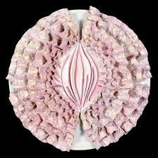 Free shipping on orders over $25 shipped by amazon. The Dinner Party Emily Dickinson Plate 1974 9 By Judy Chicago Porcelain Or Possibly Stoneware Overglaze Enamel China Pa Judy Chicago Feminist Art Judy