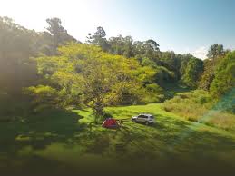 Coal Lake Campground | Camping Near Coal Lake South Park, Alberta 822,  County Of Wetaskiwin No. 10, Ab, Canada | Let'S Camp