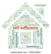 نتیجه جستجوی لغت [sufficiency] در گوگل