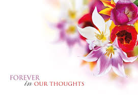 These tender bright red flowers are a common weed in europe. Forever In Our Thoughts Bright Flowers Remembrance Card