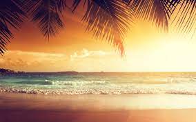 Free shipping for many items! Wallpaper Beautiful Sunset Palm Tree Leaves Beach Sea Tropical Summer 5120x2880 Uhd 5k Picture Image