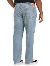 Image result for Sutera levis