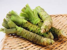 Did you know that the wasabi is a plant? How To Grow Wasabi Root Wasabi Plant Info Plant Instructions