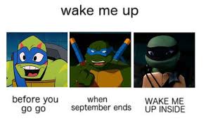 I Don T Accept Criticism Teenage Mutant Ninja Turtles Art Teenage Mutant Ninja Turtles Artwork Tmnt Artwork