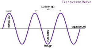 In a longitudinal wave, as the wave propagates each element of the medium undergoes a compressive strain. Transverse Wave And Longitudinal Wave Videos Concepts And Examples