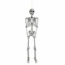 Remember to keep these first lines light, so that you can cover them later with the. Pre Sales 5 Ft Full Body Skeleton Props Movable Joints Haunted House Halloween 637509472610 Ebay