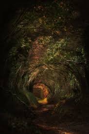 Feb 16, 2021 · anxiety disorders are common types of mental health conditions. How Stress Gives You Tunnel Vision And How To Deal With It Bellevue Christian Counseling