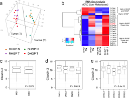 You'd think this is one of the most opposite pairings of the zodiac. Claudin 2 Promotes Colorectal Cancer Liver Metastasis And Is A Biomarker Of The Replacement Type Growth Pattern Communications Biology