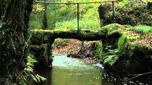 Ode To Autumn By John Keats Keats John Keats John