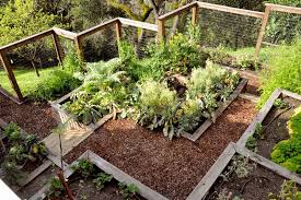 Check spelling or type a new query. How To Turn A Steep Backyard Into A Terraced Garden