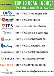 Công bố Top 500 doanh nghiệp tăng trưởng nhanh nhất Việt Nam năm 2024