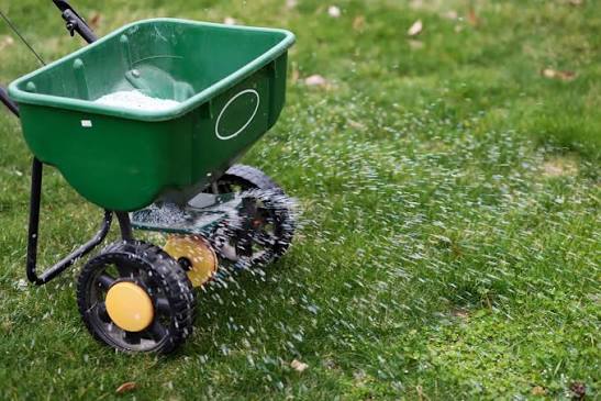 Fertilization and Weed Control: Timing and Application