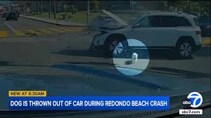 ABC7 Los Angeles - News update