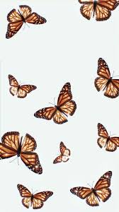 How to draw a realistic butterfly: Pin By Frida On My Saves Blue Butterfly Wallpaper Butterfly Wallpaper Butterfly Wallpaper Iphone