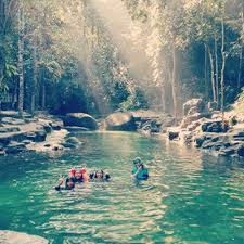 Taman rimba teluk bahang is a forest park in teluk bahang. Kejernihan Air Taman Rimba Teluk Bahang Penang