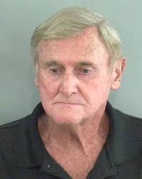 Armed Villager accused of threatening woman at her home in Village of  Amelia