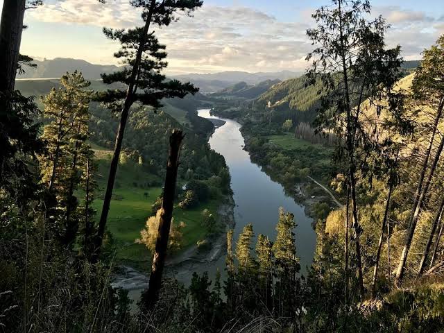 Trees, rivers and mountains are gaining legal status — but it's not been a quick fix for environment