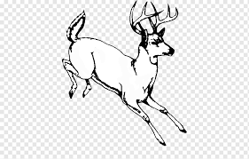 60 gambar mewarnai seru bagus dan mudah untuk anak lengkap koleksi gambar kartun hitam putih untuk mewarnai terlengkap. Buku Hitam Putih Rusa Berwarna Putih Seni Garis Gambar Gambar Modern Lukisan Siluet Buku Mewarnai Tanduk Hitam Dan Putih Buku Mewarnai Png Pngwing