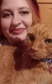 My cat has escaped around the cotmanedene area/ St Paul's cray Orpington  last seen at Indian valley. She is very timid but loving cat, ginger  tortoise shell cat. We don't live round