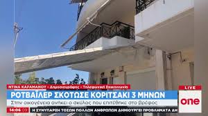 Ασύλληπτη η τραγωδία με το ροτβάιλερ που σε κατάσταση αμόκ έκοψε το νήμα της ζωής ενός βρέφους μόλις 2 μηνών στα γλυκά νερά. Tragwdia Sta Glyka Nera Rotbailer Skotwse Brefos Youtube