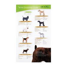 Andis Andis Terrier Clipping Guide