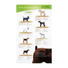 andis andis terrier clipping guide