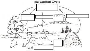 Showing 12 coloring pages related to super mario bros 3. Wizer Me Free Interactive Carbon Cycle Biology Cycles Blended Worksheet The Carbon Cycle By Teacher Carbon Cycle Carbon Cycle Diagram The Carbon Cycle