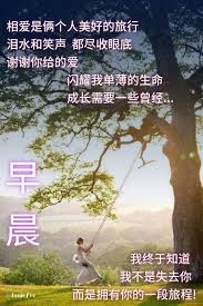 Pin By 诗安on 心语in 2020 Poster Movie Posters Art