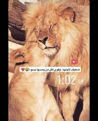 pin by الكورديه on نوني lion photography cute couple pictures love quotes for wedding