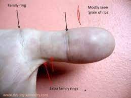 Rare palm lines with a significant meaning, such as the camera's eye, enemy line or dedication line are often overlooked in a palm reading. Thumb Lines Study In Palmistry Explained Destiny Palmistry