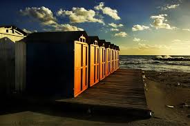 Image result for metafisica