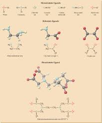 Because oxalate is a bidentate ligand, this complex has a coordination number of six. Interactive Student Tutorial