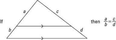$\begingroup$ the side splitter theorem has nothing to do with the right angle. How To Solve Similar Triangle Problems With The Side Splitter Theorem Dummies