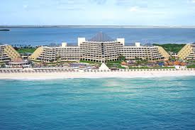 Image result for Melia