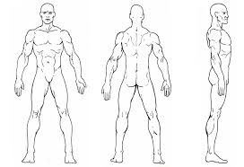 Pin By Edward On Body Reference Drawing In 2020 Model Sketch Design Sketch Character Model Sheet