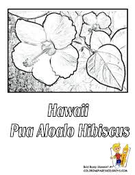 Is this a charming state or what? Hawaii State Flower Coloring Page Yellow Hibiscus Flower Coloring Pages Coloring Pages Free Coloring Pages