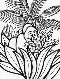 Animal coloring sheets are a great way to engage your child's interest in animals from an early age. Rainforest Coloring Pages Endangered Species Coloring Pages For Free 13 Coloring Pages For Kids