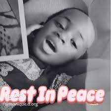 In Loving Memory of Zola: A Heartfelt Tribute