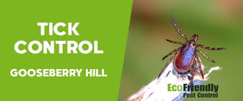 Thorough commercial indoor pest control service. Pest Control Gooseberry Hill