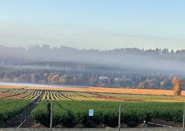 Blog — CopenHaven Farms