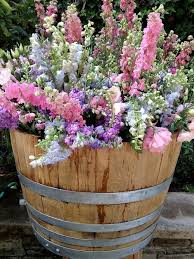 Pin By Sharon Gleed On Il Giardino I Fiori In 2020 Garden Containers Front Yard Landscaping Container Gardening