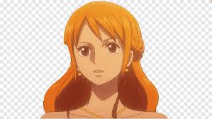 Nami Monkey D Luffy One Piece Hair Anime One Piece Face Black Hair Png Pngegg