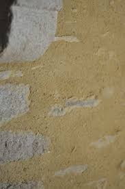 Savoir Faire Enduit Chaux Interieur Petite Maison De Jardin Toiture En Bois